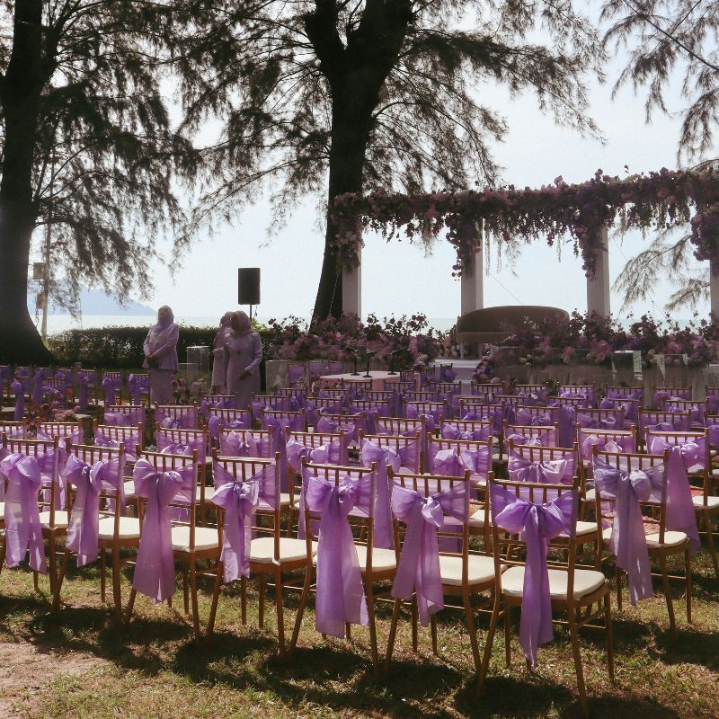 Lone Pine - Purple Theme